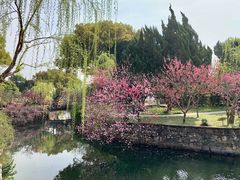 -无锡蠡湖国家湿地公园-蠡园