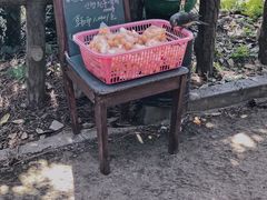-柱状节理带