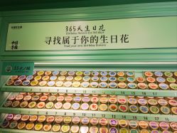 -青稚护手霜QINGZHI
