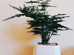 -悦SPA·泰式按摩(光明广场店)