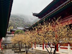 -四祖寺