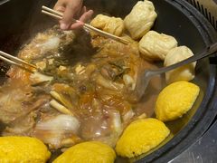 -桃源村铁锅炖鱼(体育馆道店)