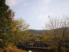 -石塘人家