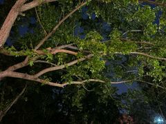 -朝阳公园