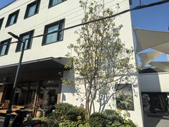 -苏州观前街有熊酒店