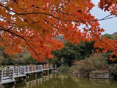 -白马涧龙池景区
