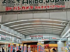 -秋叶原电器街