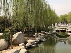 -西安青龙寺遗址景区