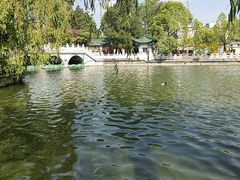 -翠湖公园