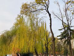 -莲湖公园