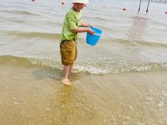 -碧海金沙