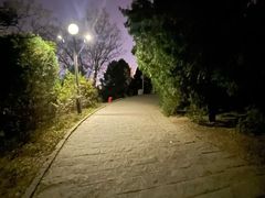 -南翠屏公园