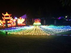 -杭州湾海上花田景区