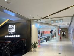 -和良形象