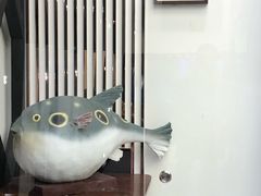 -肆月河豚·新淮扬(金融街店)