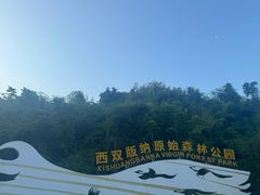 -西双版纳原始森林公园