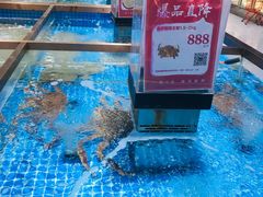 -七鲜超市(通州ONE店)