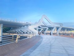 -演武大桥观景平台
