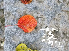 -香山公园