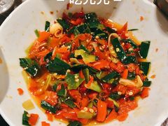 鸭掌筋-壹盏灯(惠农店)