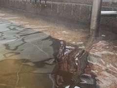 -国信南山温泉