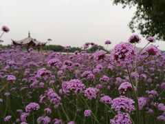 -杭州城北体育公园