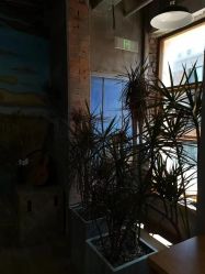 -竹马造型工作室