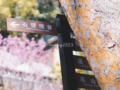 -乌山风景区