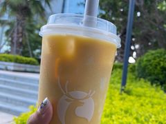 -海悦山庄酒店-花园泳池