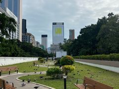 -九龙公园