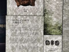 -遇见博物馆(遇见海洋沉浸式奇幻光影展)