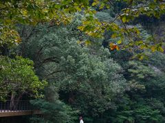 -龙湾潭国家森林公园