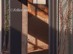 景点-良仓新造ICC PARK创意园