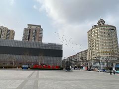 -海河外滩公园