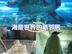 -南京海底世界