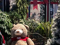 -Primo·丽莫意大利窑烤披萨