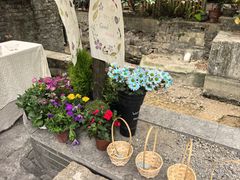 -小洲村