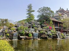 -顺峰山公园