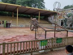 -贵州森林野生动物园