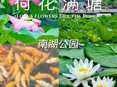 -长春市南湖公园