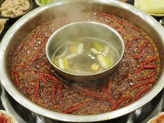 锅底-大龙火锅(老店)