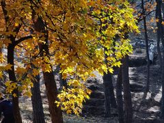 -承德避暑山庄景区