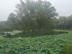 -皇家御河游(紫御湾码头)