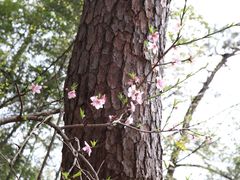 -溪口-滕头旅游景区