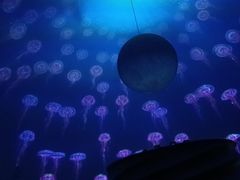 -海昌极光餐厅