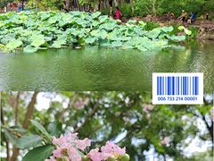 -苏州公园(双塔街道)