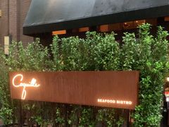 -壳里西餐厅Coquille Seafood Bistro(蒙自路店)