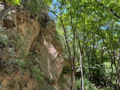 -大岭沟猕猴桃谷风景区