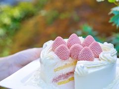 -壹点壹客·生日蛋糕(南山店)