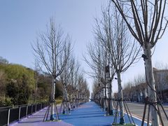 -连岛景区大沙湾